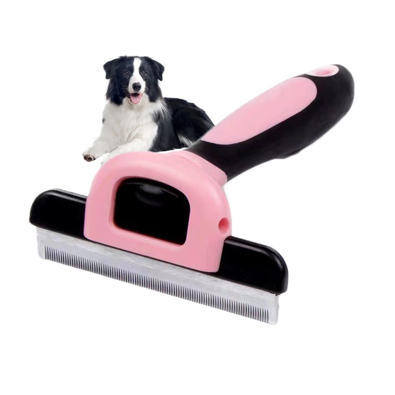 Pet cleaning and grooming