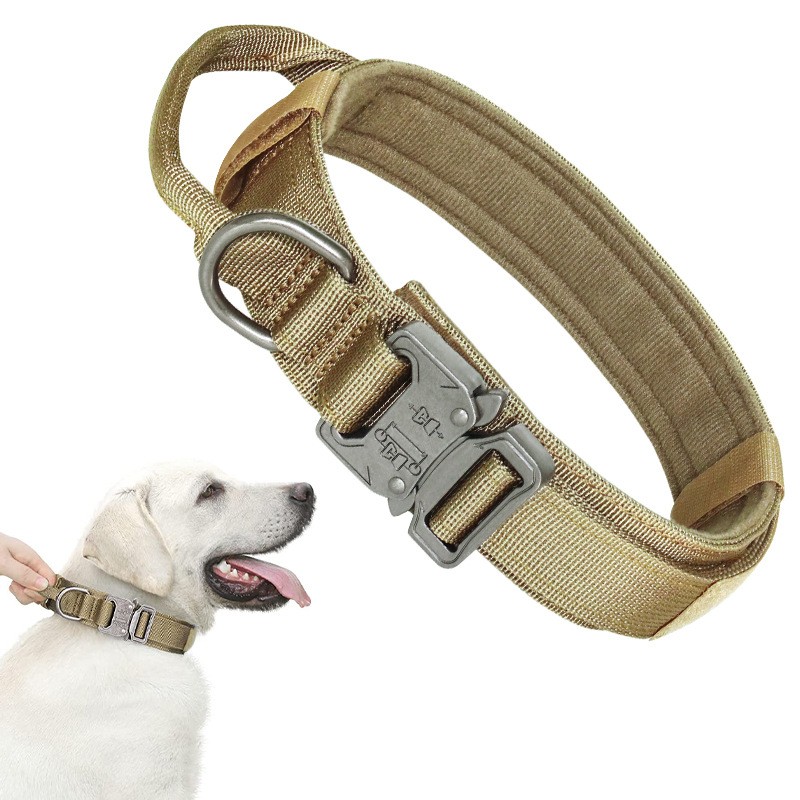 Pet collar and leash