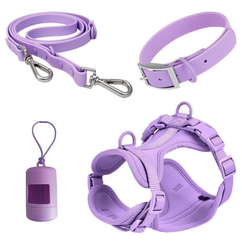 Pet collar and leash