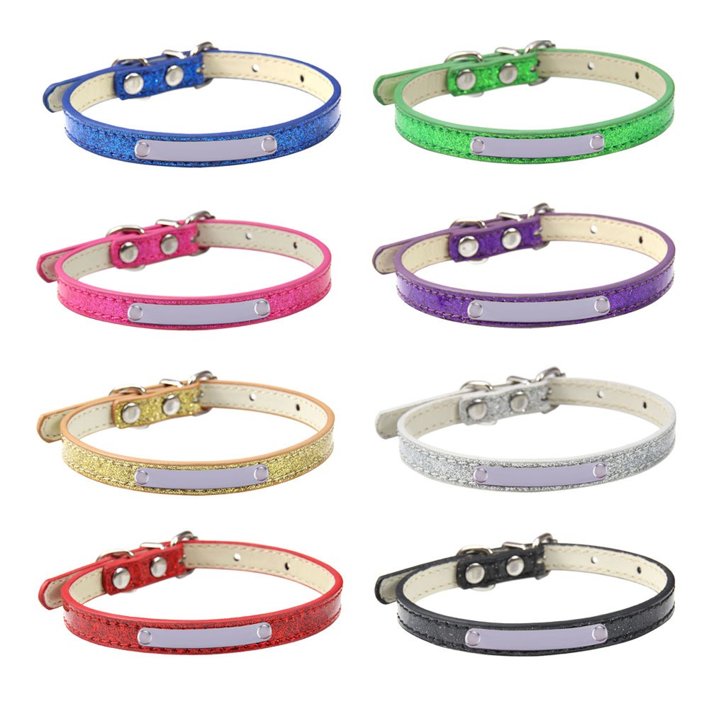 Pet collar and leash